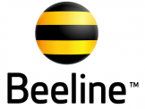 Bộ TT&TT duyệt gói cước tỷ phú 2 của Beeline